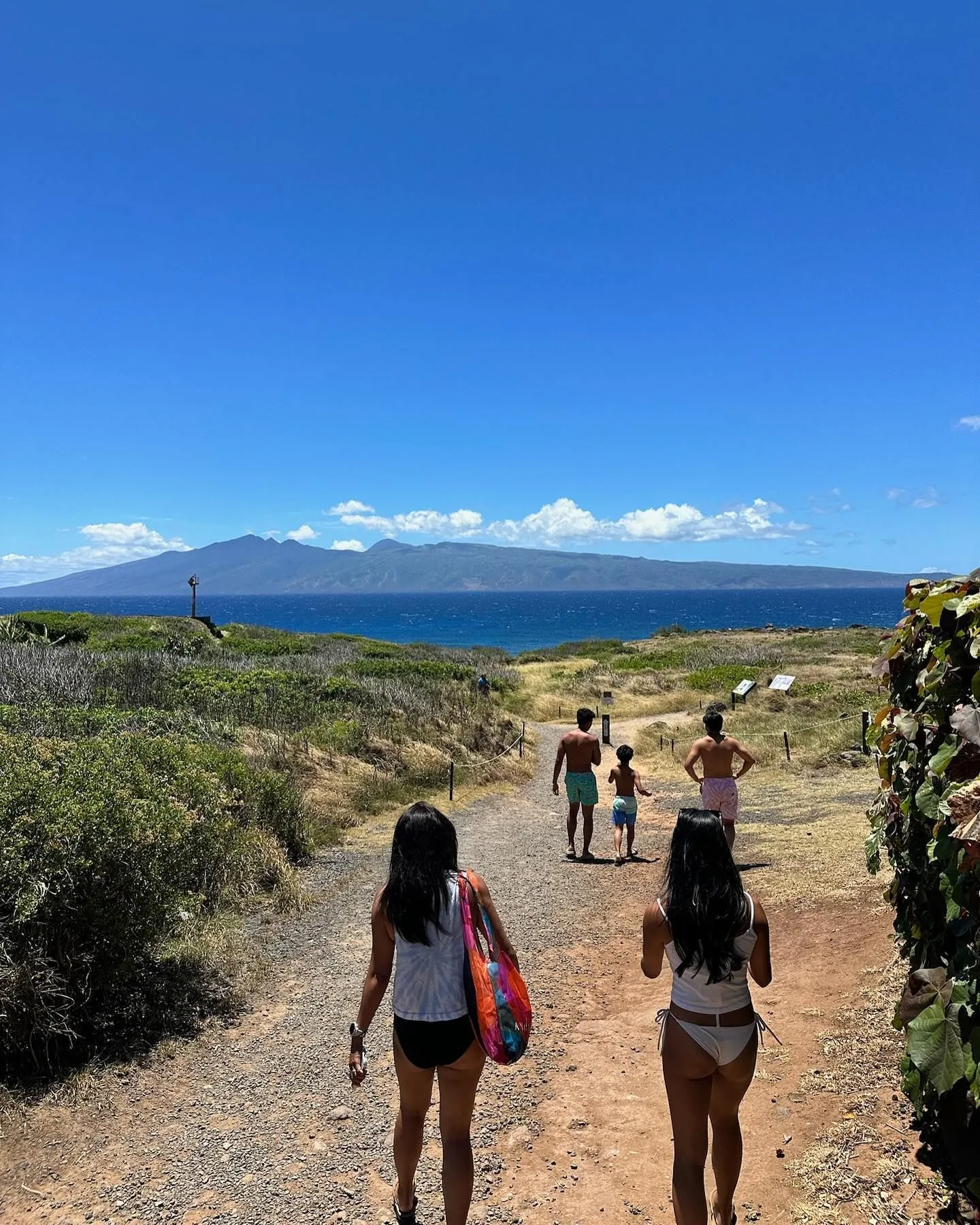 People walking on a path towards the ocean, a sunny day.