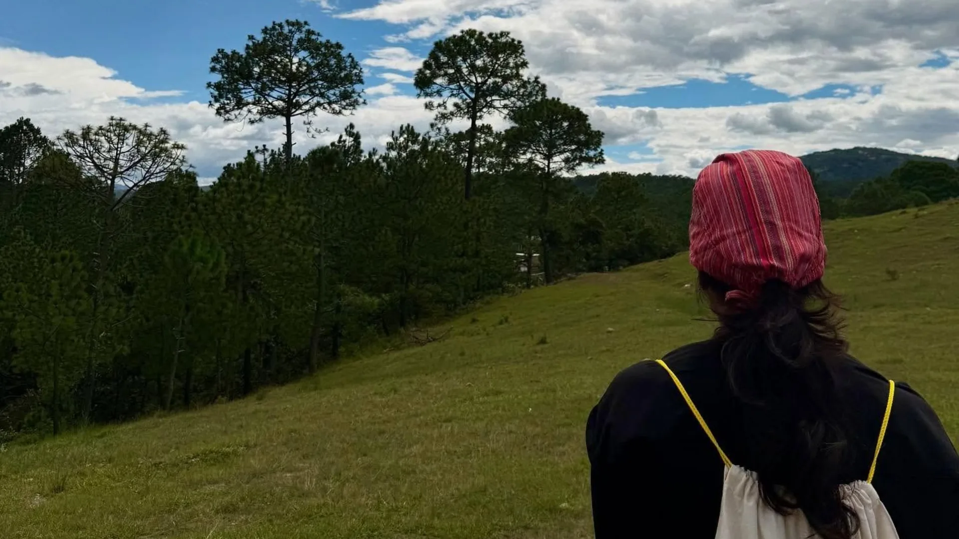 Person with a red patterned scarf and backpack looking at a green field and trees on a sunny day.